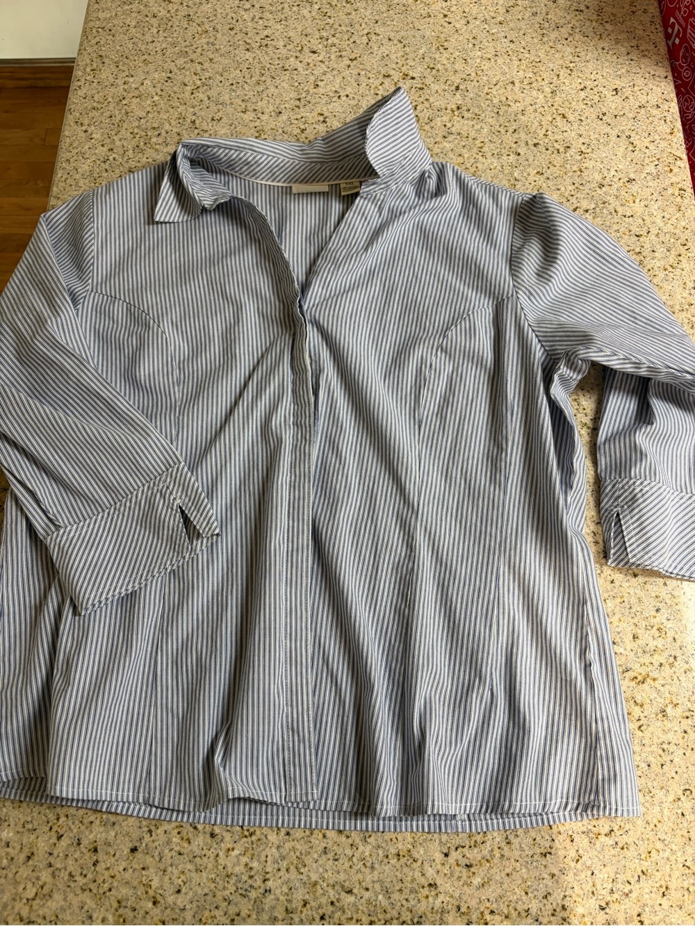Lee Women's Blue and White Striped Button-Down Shirt
